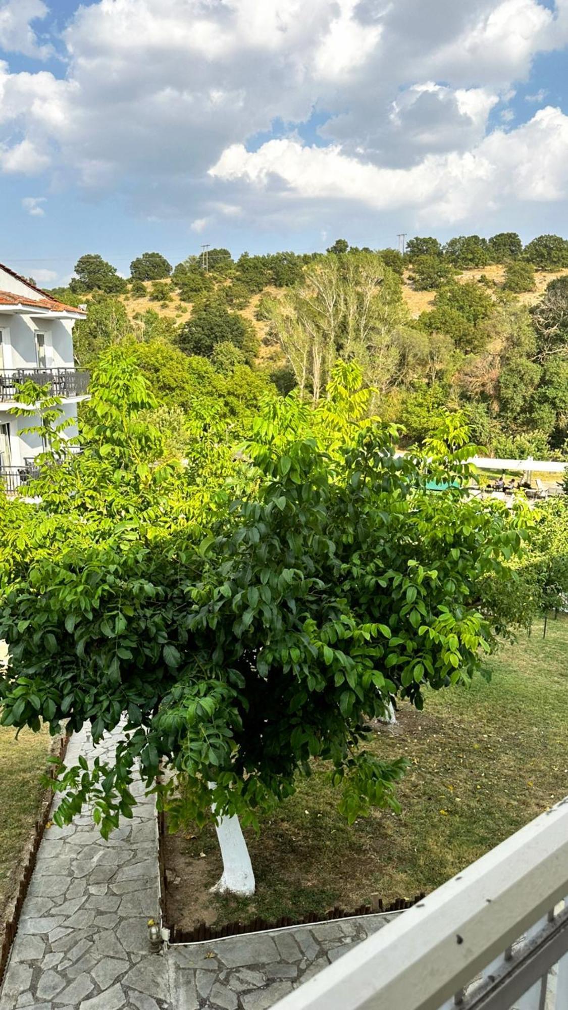 Tselikas Hotel Kozani Værelse billede
