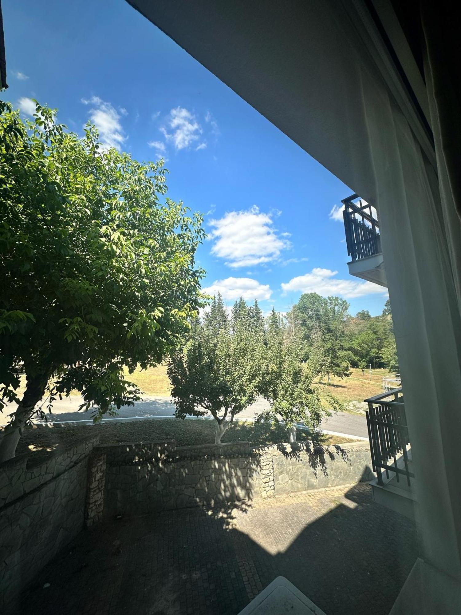 Tselikas Hotel Kozani Værelse billede